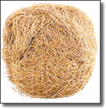 Coconut Fiber