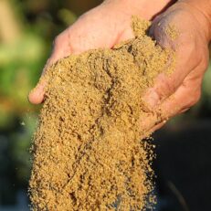 Fresh worm feed being added to worm beds