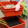 Person lifting Worm Factory tray - Click to Buy Worm Bins